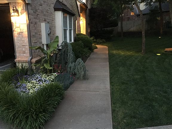 Front garden evening 2016