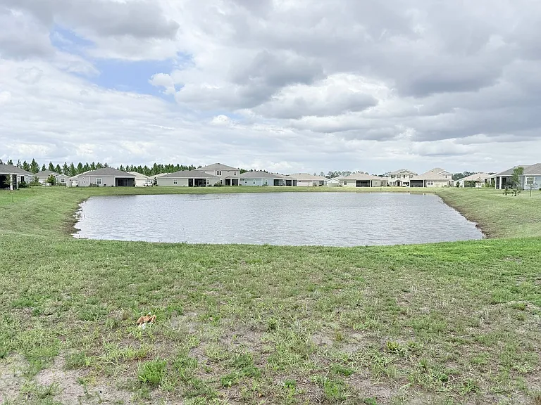 9931 Lovage Ln — Photo 34