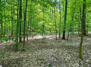 0 S Honeybee Rd #B, Empire, MI 49630