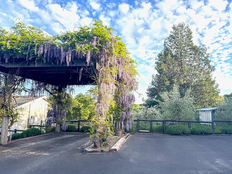 Wisteria pergola parking