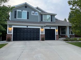 991 Cryolite Pl, Castle Rock, CO 80108
