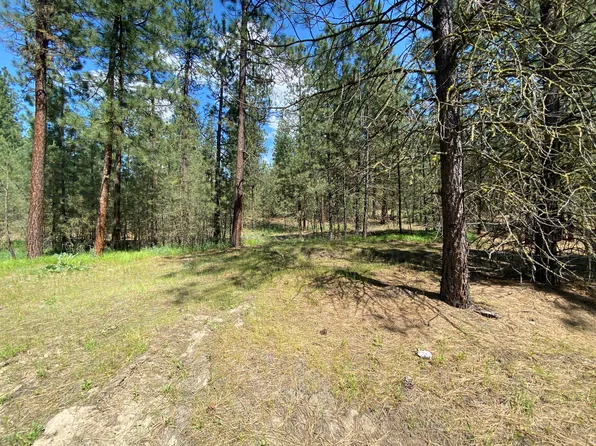 2 Eagle River Way, Kettle Falls, WA 99141
