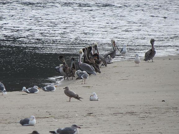 4th image of 1 NW Alsea Bay Dr