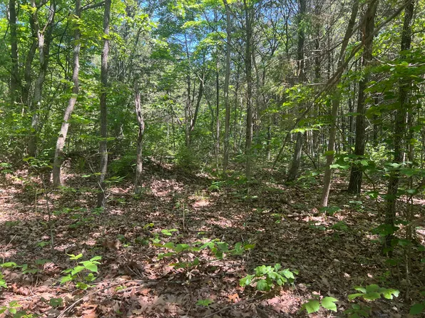 000 Tbd County Road O-535, Ava, MO 65608