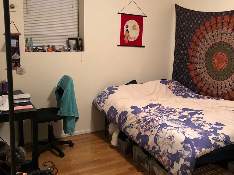 65 Hemenway St #1 — Photo 5