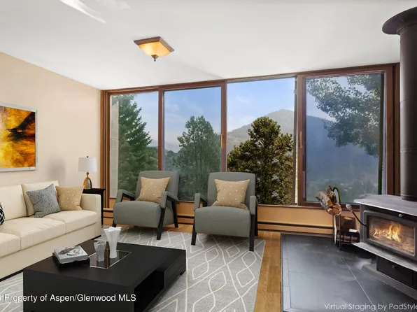 805 Pinon Dr APT 9, Basalt, CO 81621