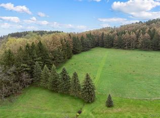 0 Bonney Hill Rd, Hamilton, NY 13346