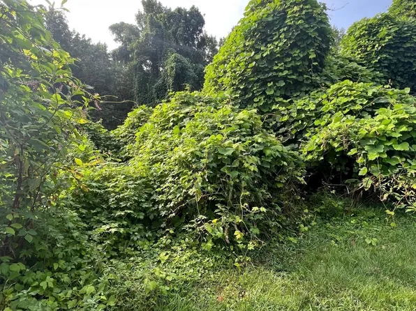 0 Sunset Dr, Madison Heights, VA 24572