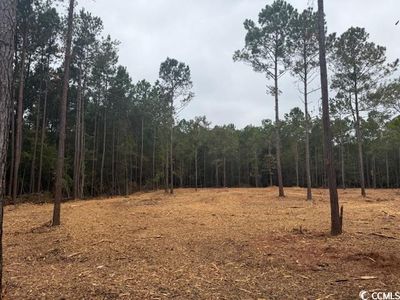 3-A McNabb Rd., Loris, SC, 29569