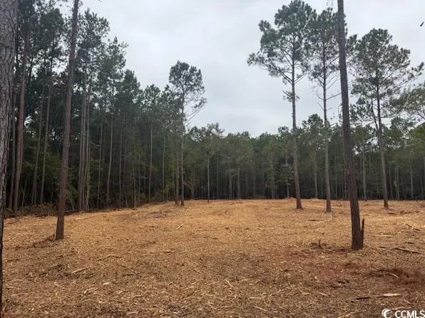 3-A McNabb Rd., Loris, SC 29569