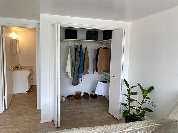 View from the bedroom looking into the open walk-in closet. The bathroom is on the left.