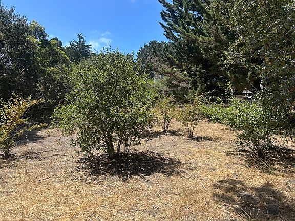 3rd image of 26046 Highway 1