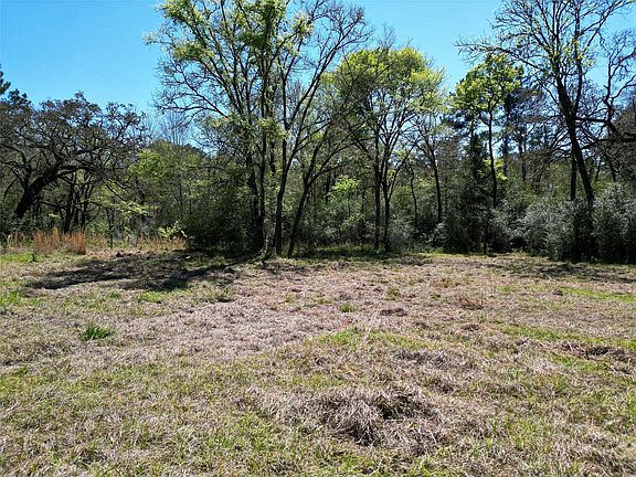 4th image of 42 Brumley Rd