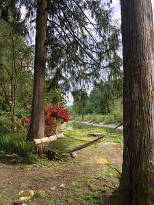 30722 223rd Ave NE, Arlington, WA, 98223