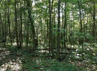 Tract 4 Parcel 1 Tract A Walker Rd, Black Twp, PA 15557