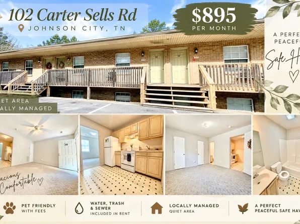 102 Carter Sells Rd, Johnson City, TN 37604
