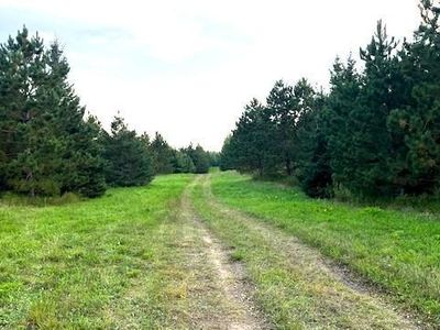 Leonard Road Soo Line Rd, Leonard, MN, 56652