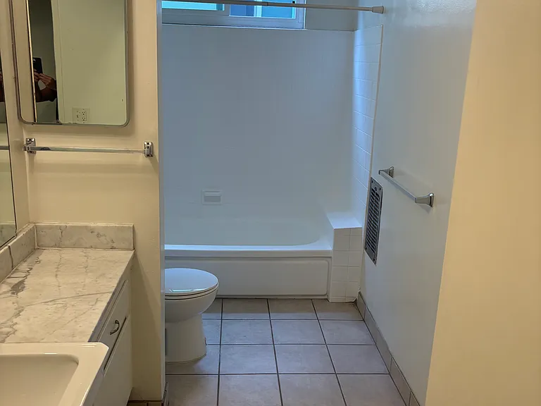 Hall bathroom