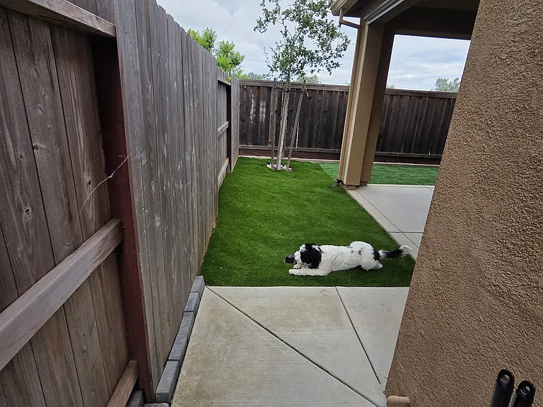 4548 Gray Lodge Loop — Photo 21