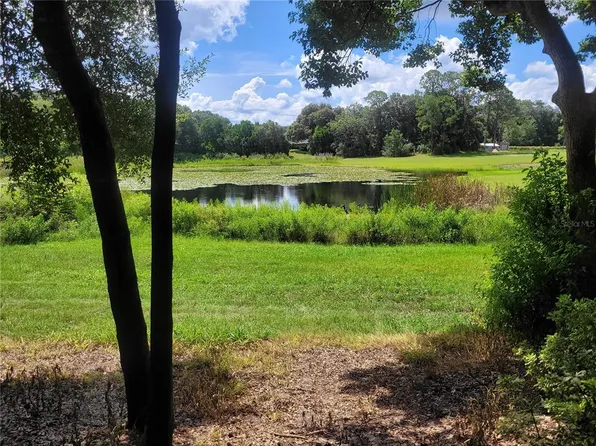 Minshew Rd Lot 2, Pierson, FL 32180