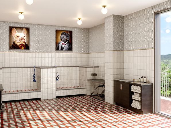 austin-texas-447645509 picture