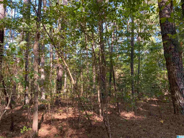 0 Hill Rd #0, Empire, AL 35063