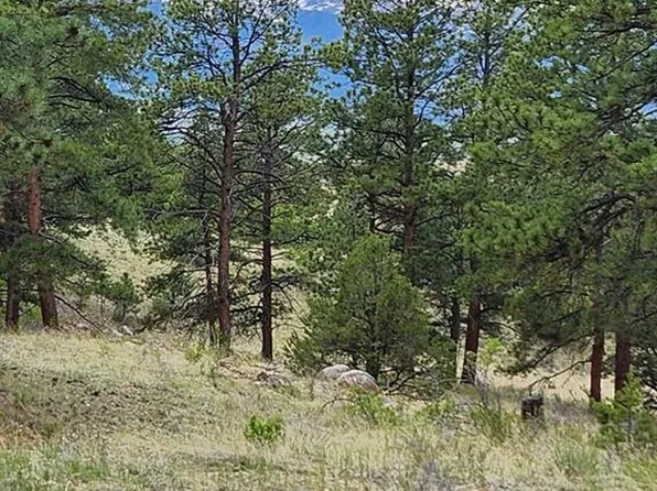 770 Crow Rd, Westcliffe, CO 81252