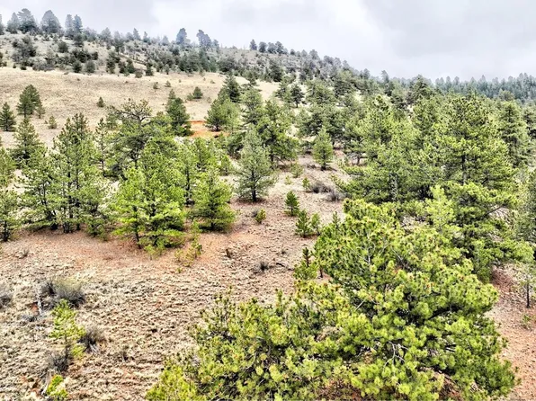 0 Cohonina Road, Hartsel, CO 80449