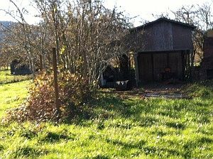 2nd image of 130 Tierney Rd