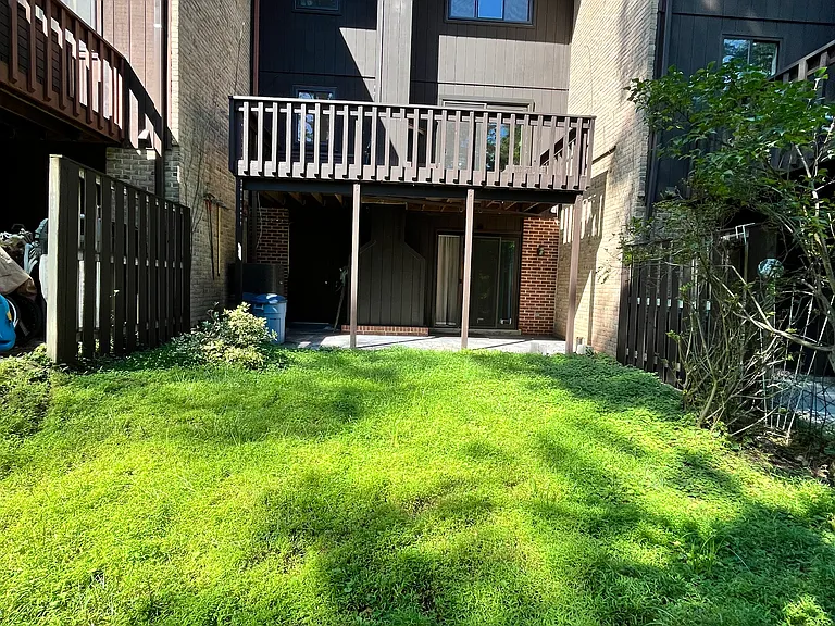back yard