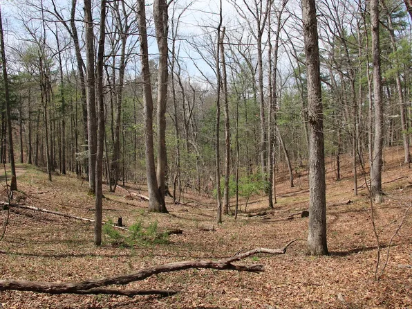 Hodges Ln Lot Wp012, Winchester, VA 22603