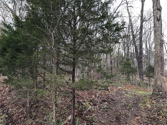 3rd image of 0 E Audubon Dr