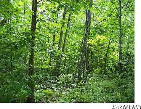 4th image of Lot 2 Price Dam Road