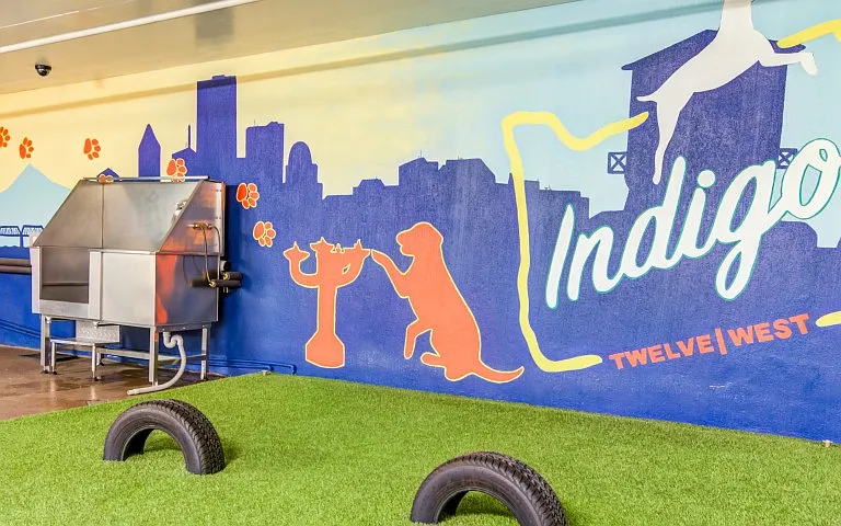 Pet Park & Wash Station