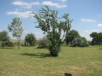 2nd image of 432 Cr 3440