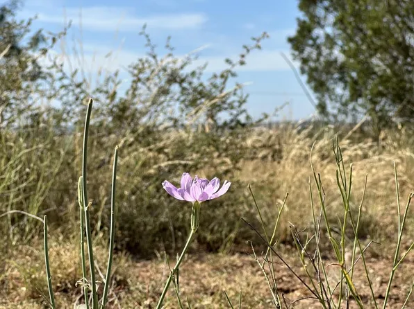 Glendale Rd, Sweetwater, TX 79556