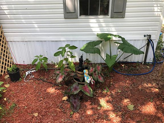 3rd image of 639 Brandy St
