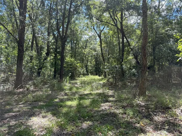 Do 3 10ac NW #193, Micanopy, FL 32667