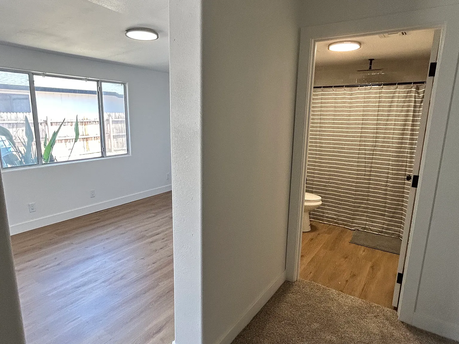 1 bed, $1,600 — Photo 2