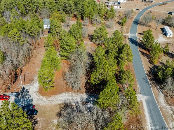 Brower Rd Lot 1, Cameron, NC 28326