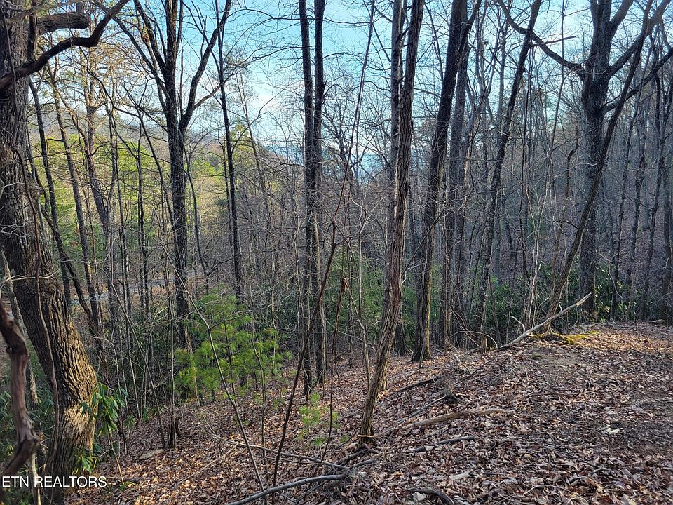 1st image of 5 Swann Saddle Rd Lot 5