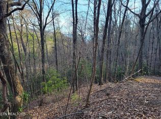 5 Swann Saddle Rd LOT 5, Sevierville, TN 37876