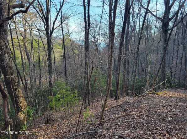 5 Swann Saddle Rd Lot 5, Sevierville, TN 37876