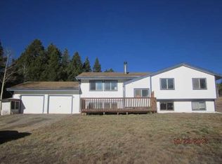 283 Foxtail Dr, Black Hawk, CO 80422