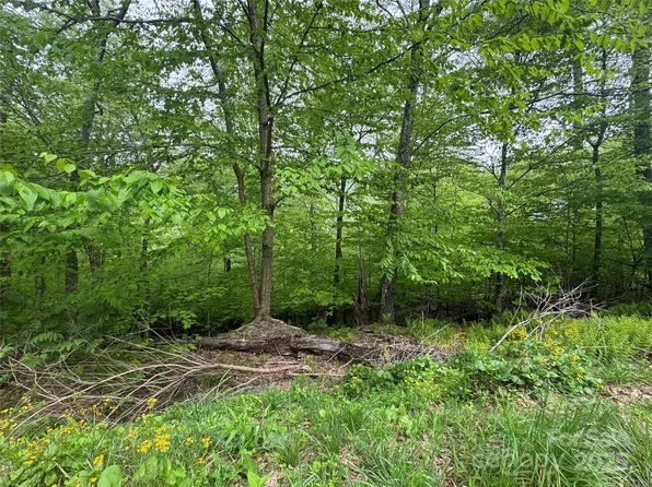 22 Zebulon Ln, Mars Hill, NC 28754