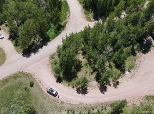 29795 Eddy Ct, Oak Creek, CO 80467