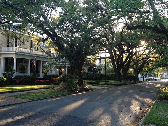 View from front yard