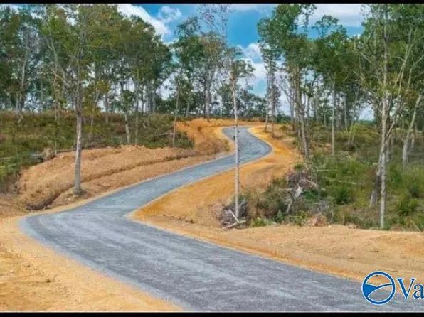 22.2 County Rd #9114, Mentone, AL 35984