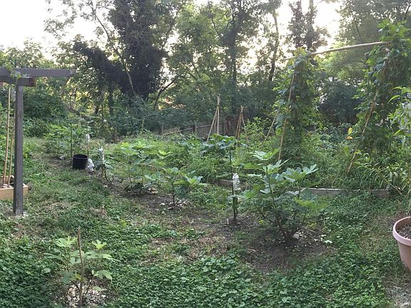 It's about 24 ft. x 30 ft. of garden space that you could use to grow your own food.