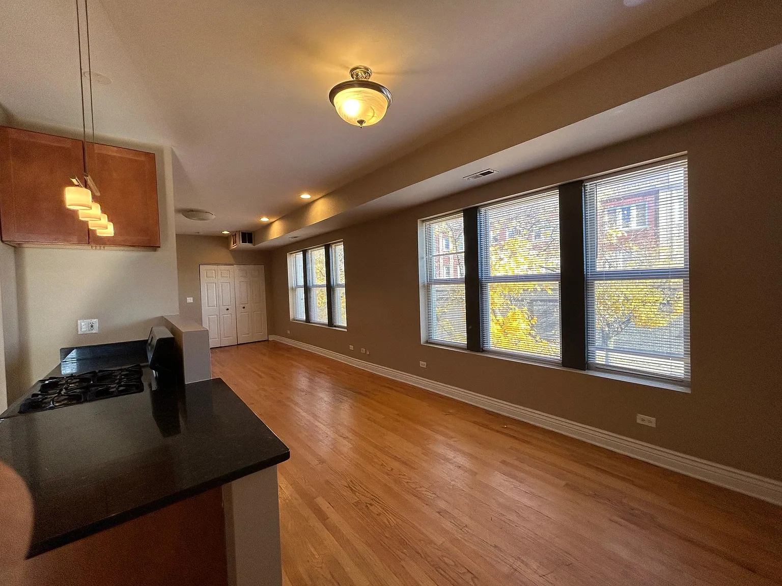 1 bed, 950 sqft, $1,250 — Photo 2